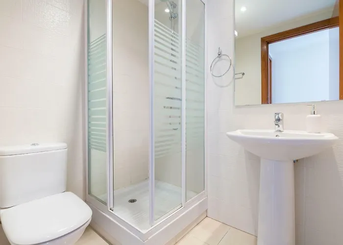 Millenium 1 2-1 Roses