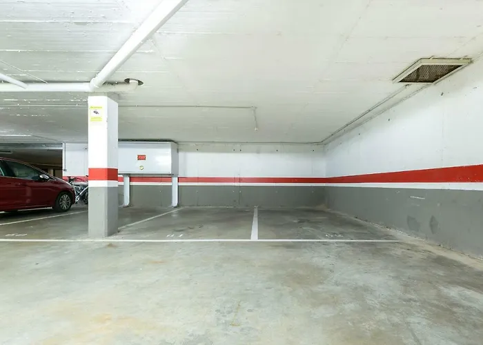 Millenium 1 2-1 Roses